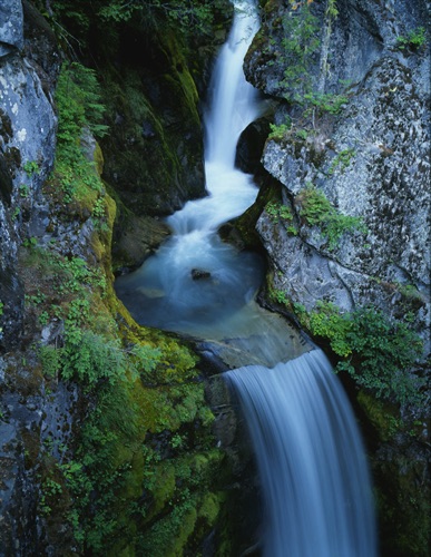 Christine Falls, Mount Ranier National Park, Washington, (MF).jpg